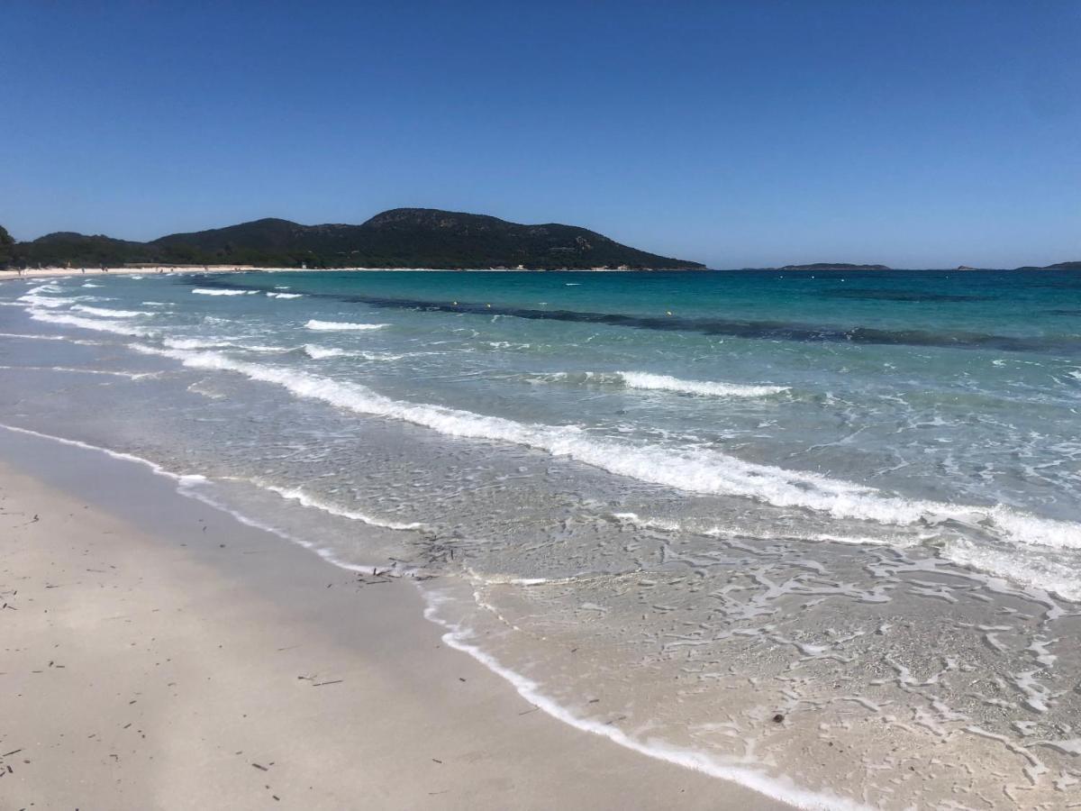 Superbe Appartement Sur Le Port, Jacuzzi, Piscine Porto-Vecchio  Eksteriør bilde