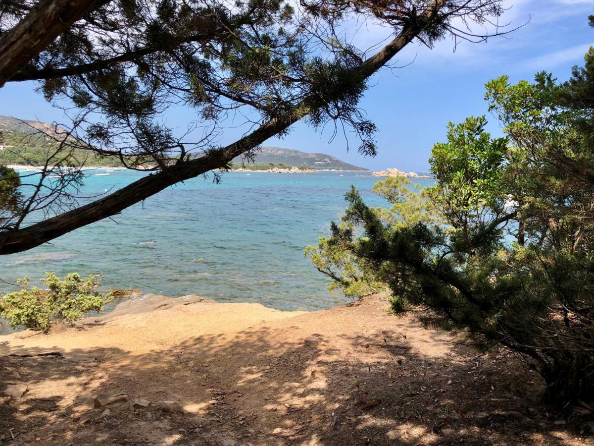 Superbe Appartement Sur Le Port, Jacuzzi, Piscine Porto-Vecchio  Eksteriør bilde